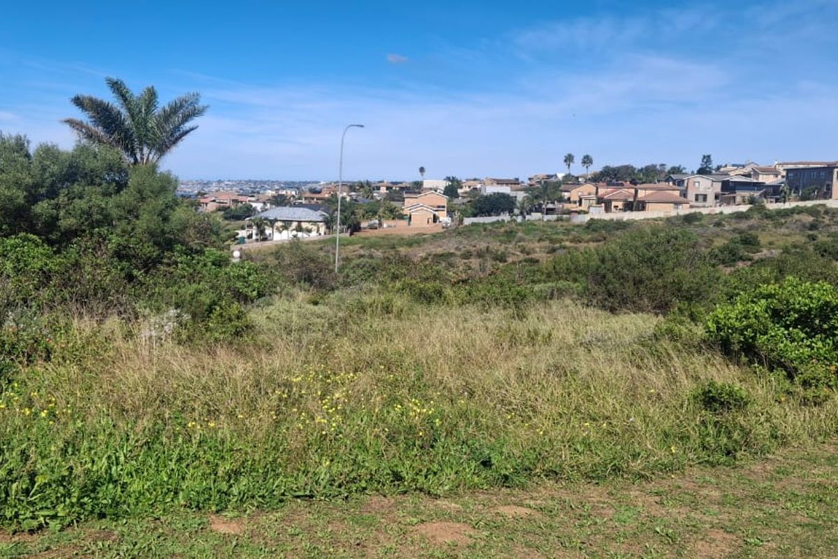 A view of the vacant residential land featuring natural vegetation and a gentle slope, overlooking the surrounding neighborhood and distant landscape.