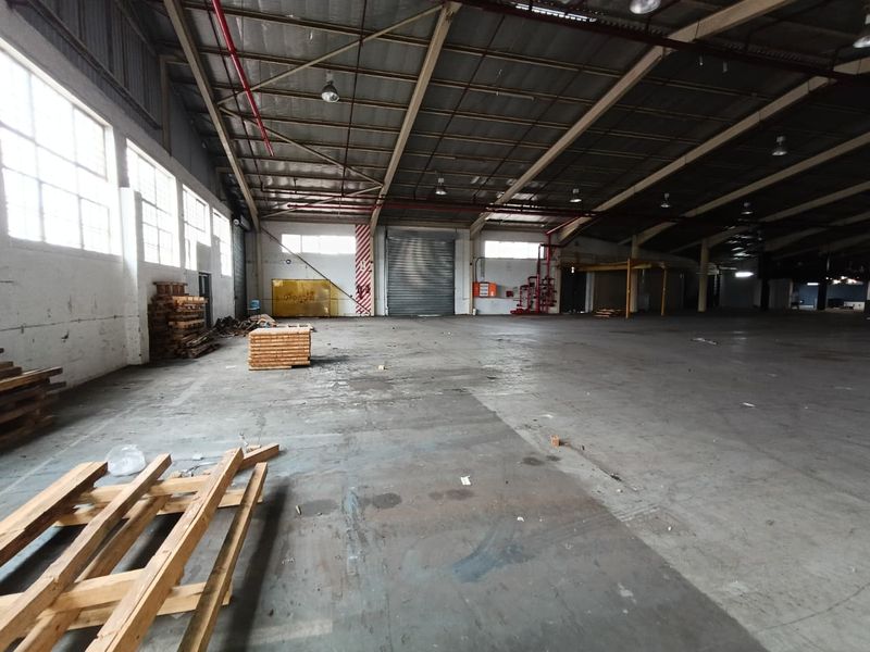 TO LET | STANDALONE WAREHOUSE | LEVELLERS – WESTMEAD - Photo 10