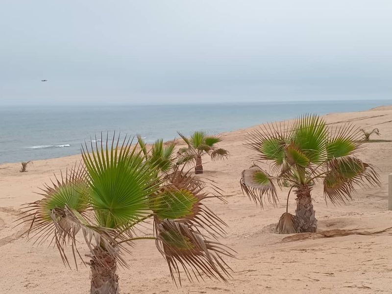 SEA VIEW TOWNHOUSE FOR SALE IN HENTIES BAY - INVESTMENT OPPORTUNITY - Photo 5