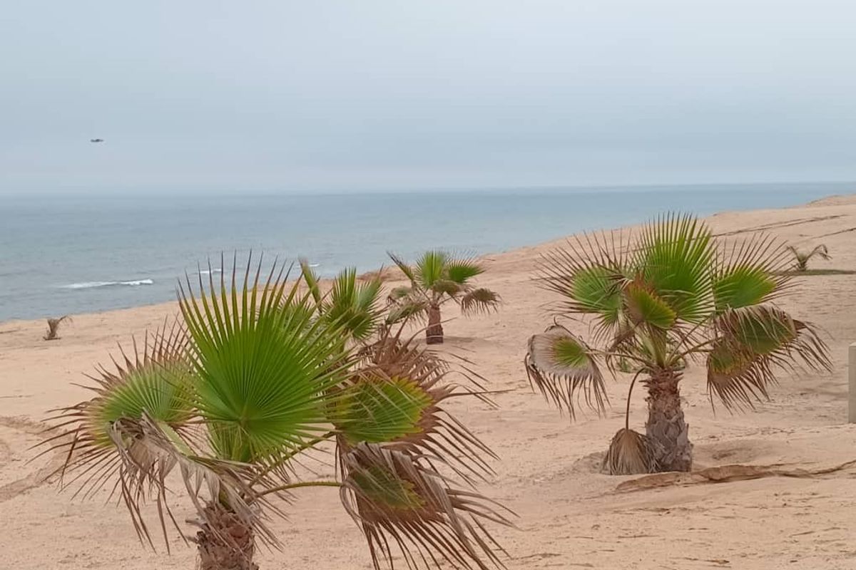 SEA VIEW TOWNHOUSE FOR SALE IN HENTIES BAY - INVESTMENT OPPORTUNITY - Photo 5