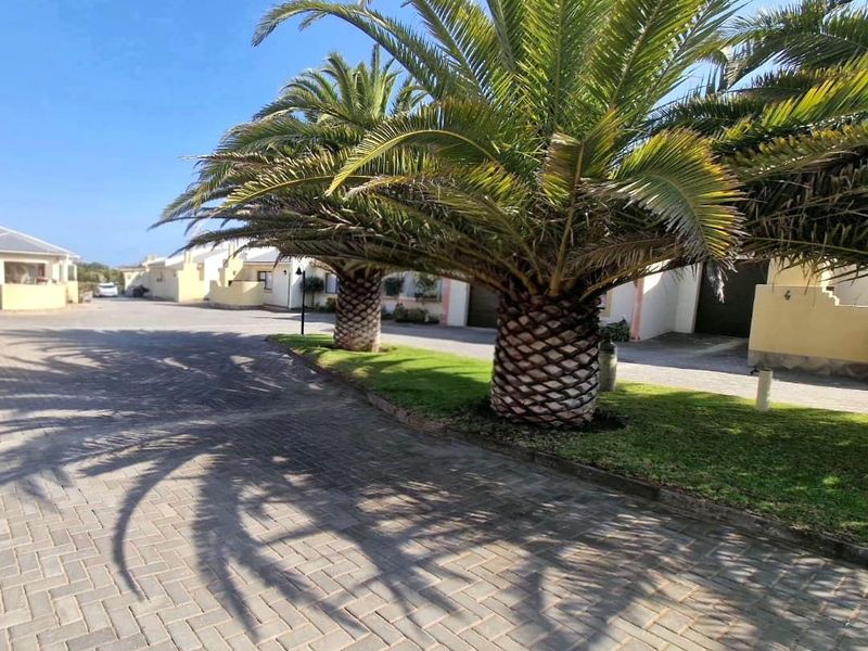 A view of the complex driveway featuring mature palm trees, manicured lawn, and paved surfaces leading to the townhouse units.
