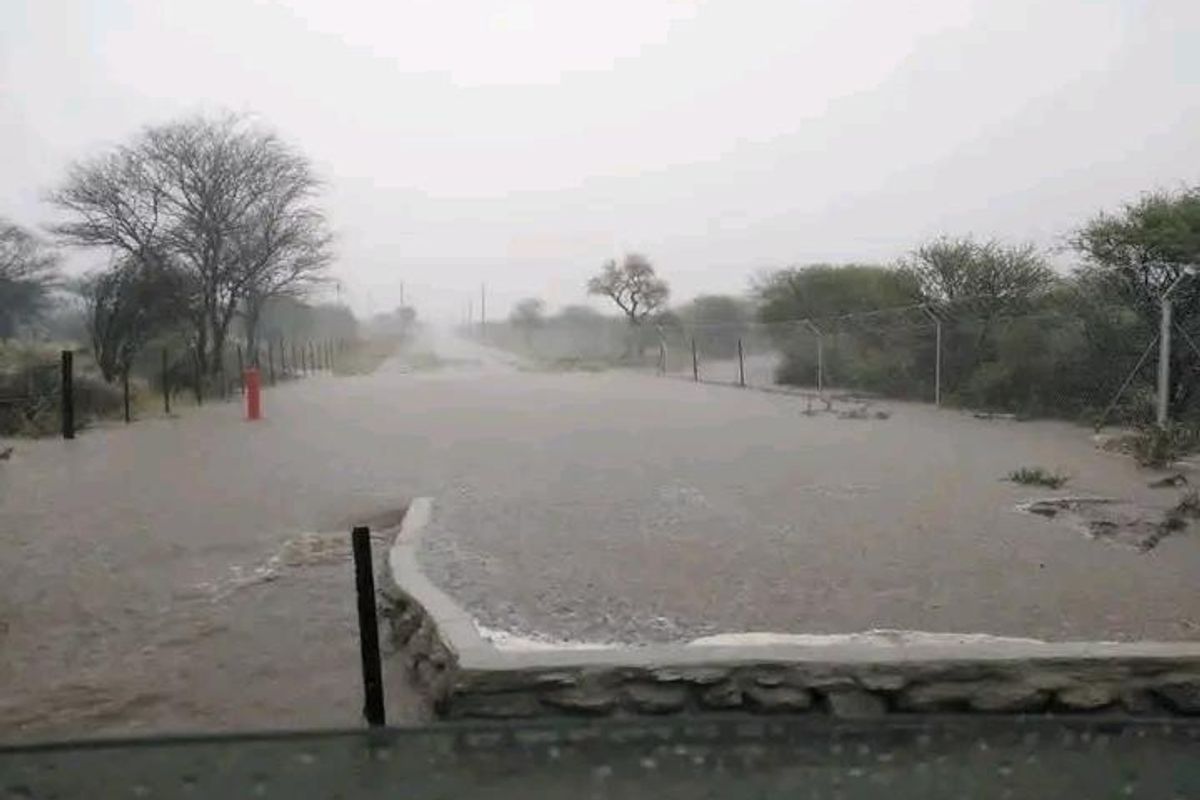 PLOT IN OSONA - Photo 3