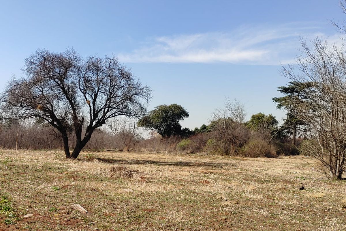 A view of a vacant commercial land plot featuring natural vegetation and mature trees under a clear blue sky.