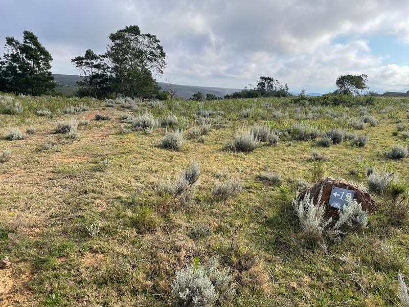 Exclusive 300 m2 Vacant Stand in Gondwana Big Five Game Reserve - Photo 5
