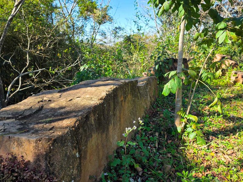 Land for Sale with Spectacular Views over Kloof Gorge - Photo 5