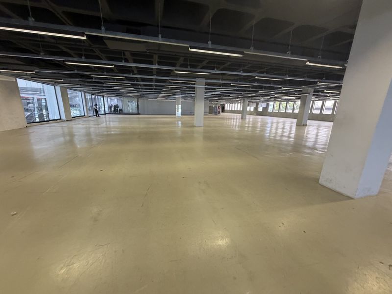Expansive open-plan industrial office space featuring high exposed waffle slab ceilings, polished concrete floors, and abundant natural light from perimeter windows.