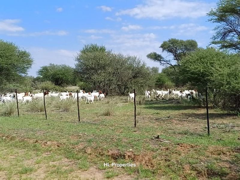 This is ideal to escape the hustle and bustle and to create your own lifestyle as it fits you. - Photo 7