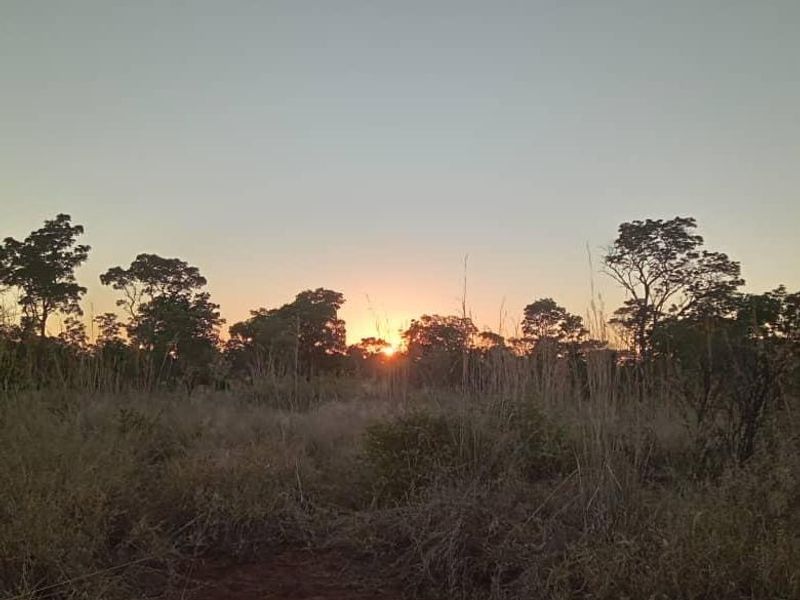 Unlock the Wild – Live the Farm Life! - Photo 4