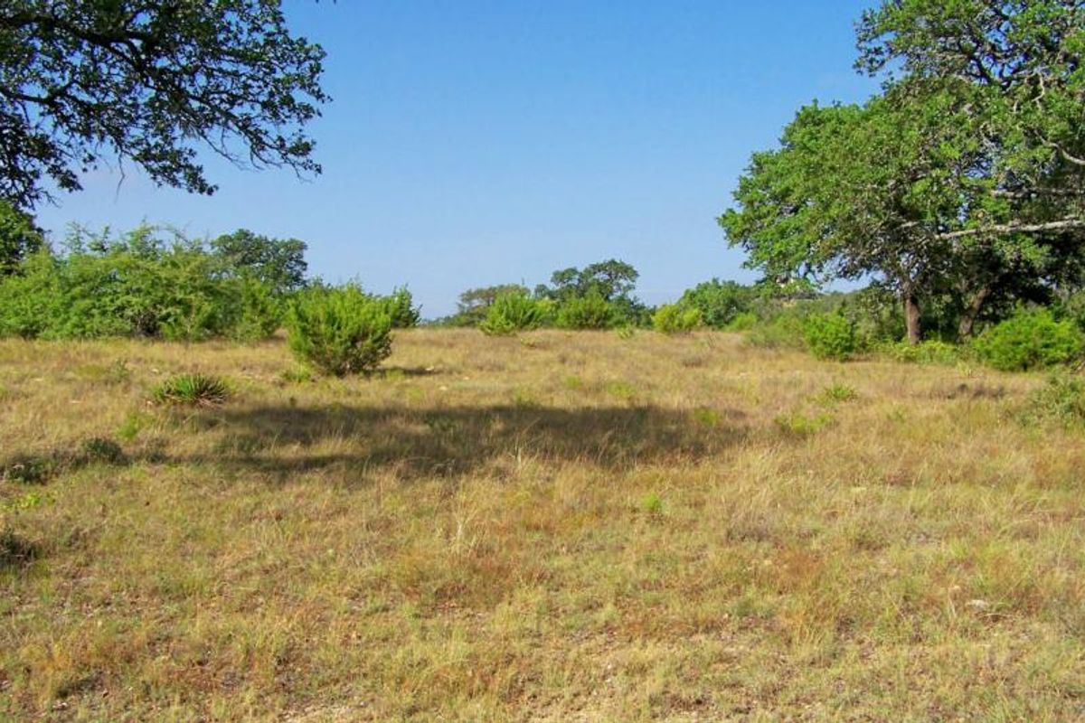 A view of a vacant commercial land plot featuring native grasses and mature trees, offering a natural landscape setting.