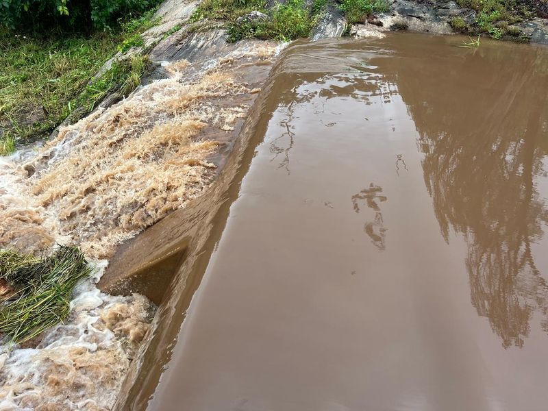 Agricultural Gem: Cleared Land & Established Orchards! - Photo 8