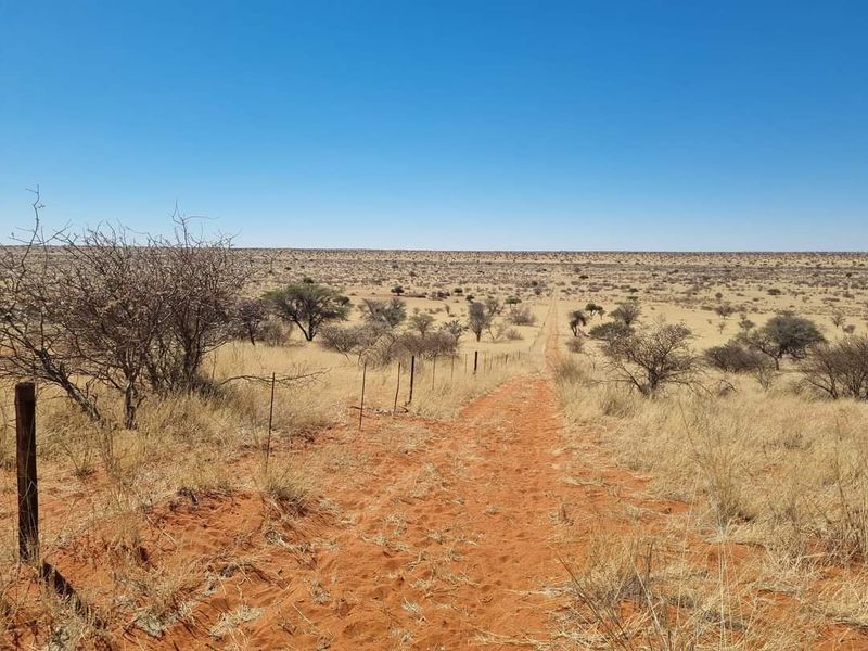 GORGEOUS CATTLE / SHEEP / GAME FARM FOR SALE IN STAMPRIET - Photo 4