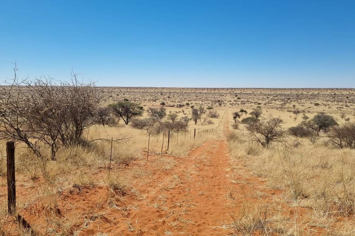 GORGEOUS CATTLE / SHEEP / GAME FARM FOR SALE IN STAMPRIET - Photo 4