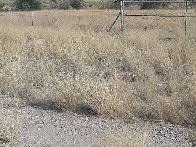 An expansive, dry, open field area featuring natural vegetation and perimeter wire fencing under a clear blue sky.