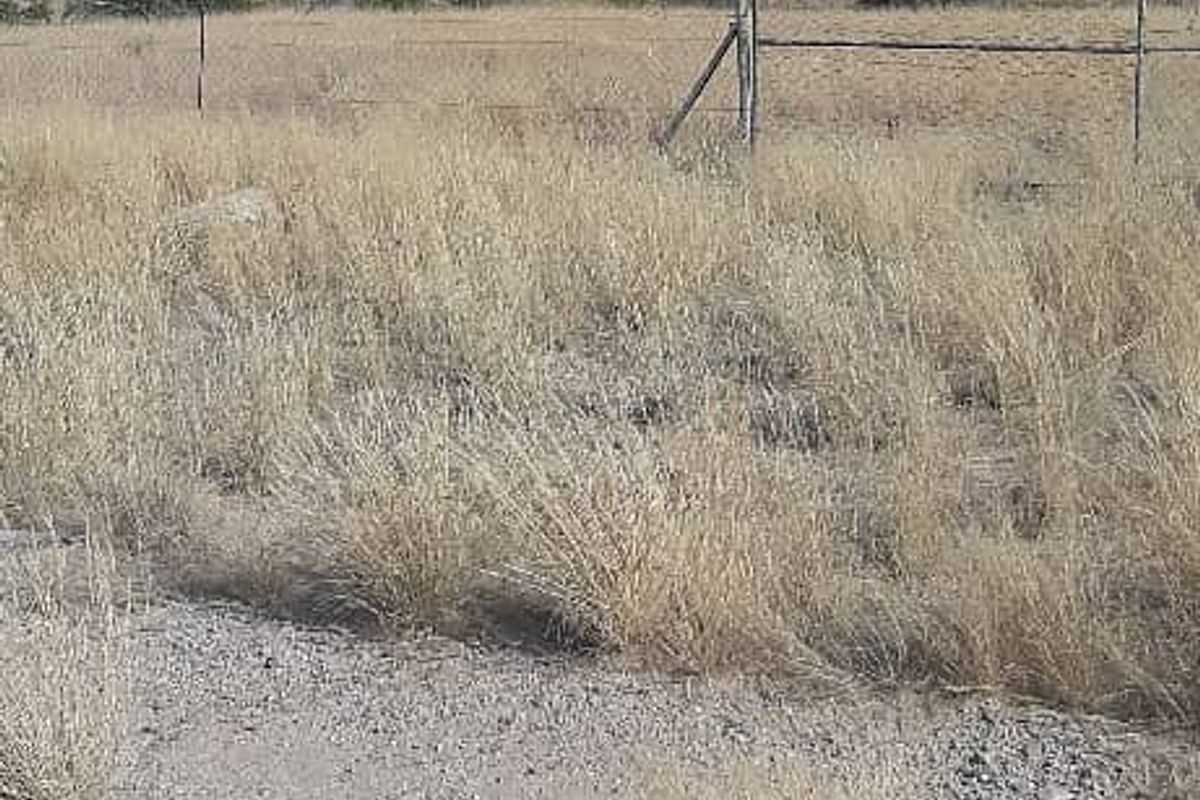 An expansive, dry, open field area featuring natural vegetation and perimeter wire fencing under a clear blue sky.
