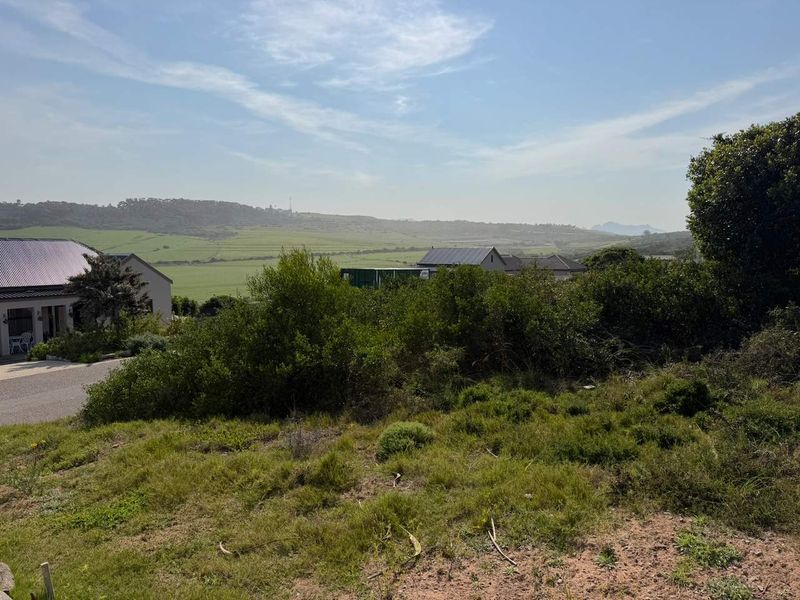 A view of the surrounding landscape and natural vegetation from the vacant residential land plot.