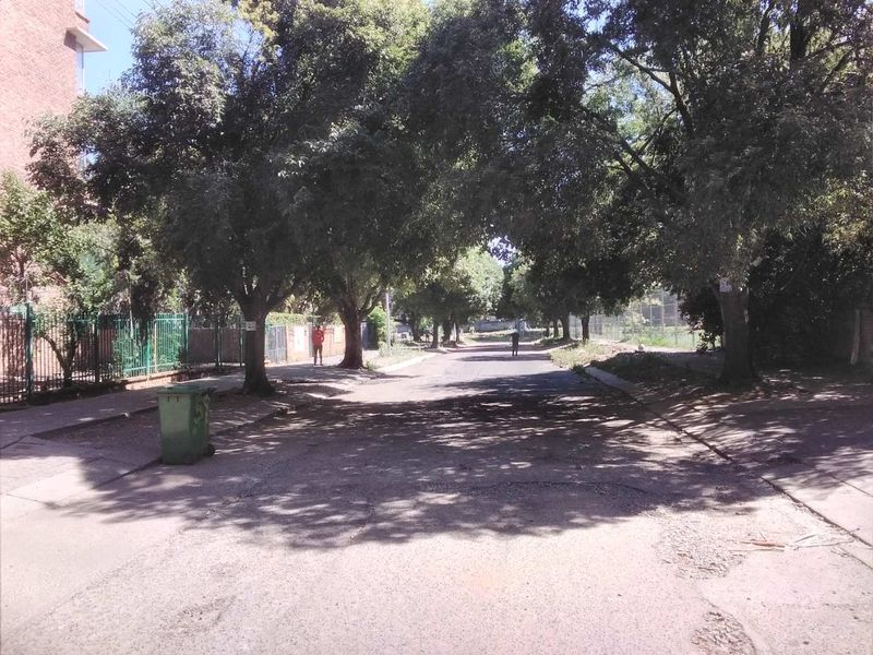 A view of the residential street showing the road surface, mature trees, and perimeter fencing of the surrounding properties.