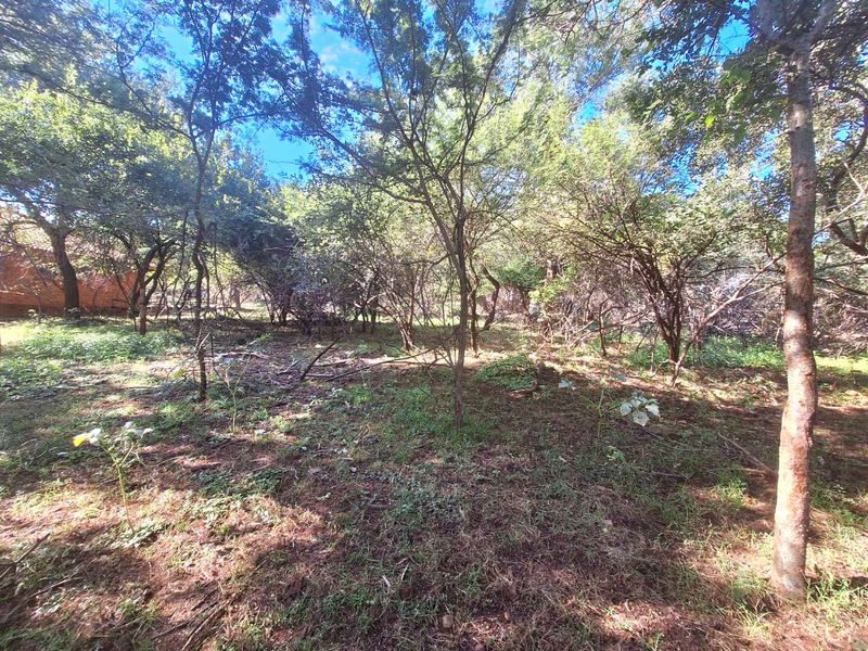 Prime 800m2 Plot in Leeupoort - Tranquil Retreat - Photo 9