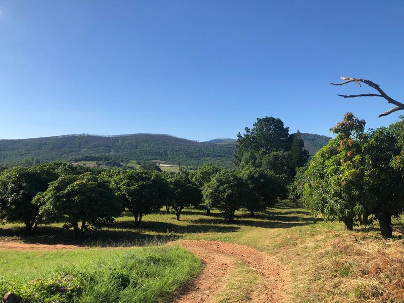 The Perfect Retreat: Farm Life Close to Tzaneen! - Photo 3