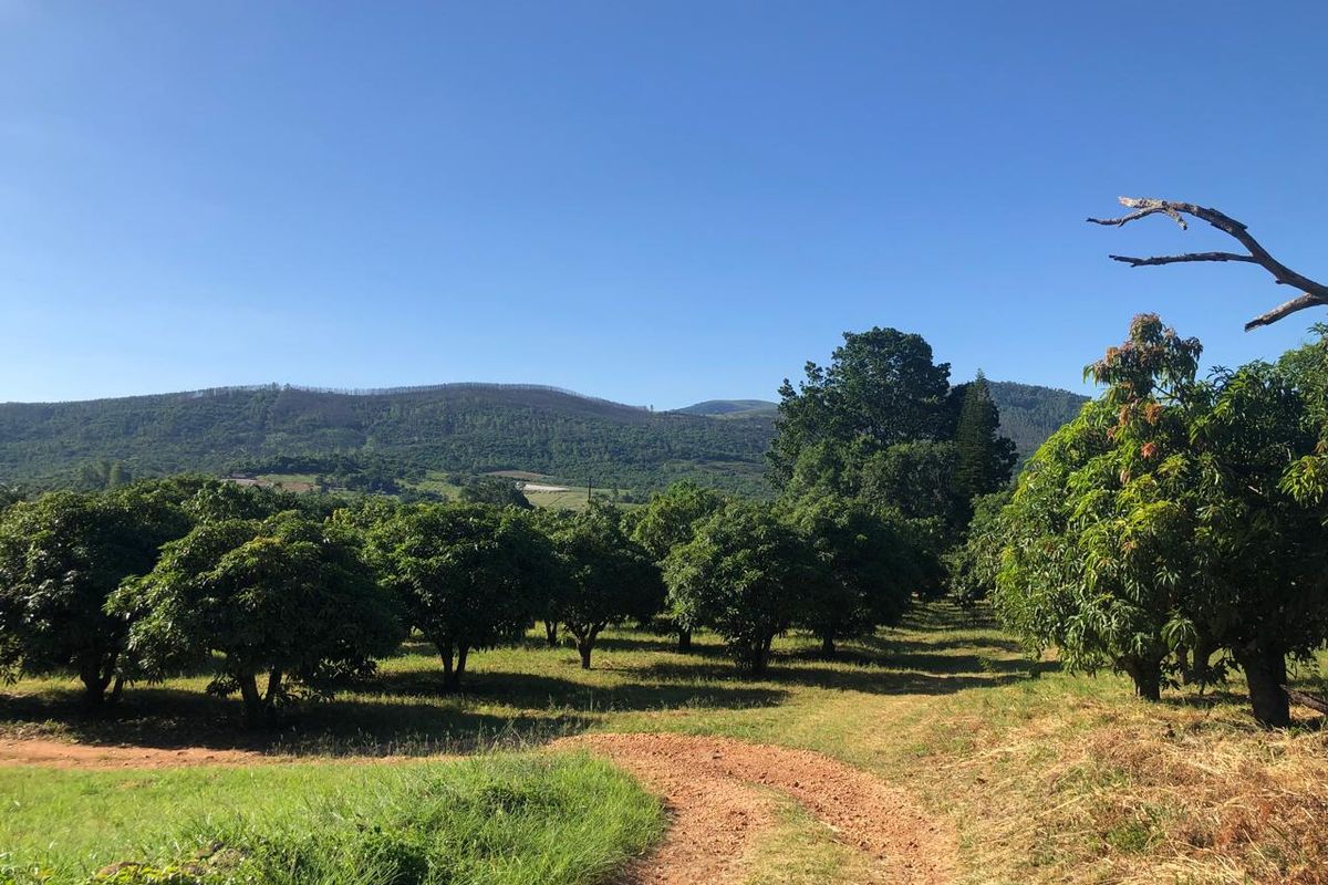 The Perfect Retreat: Farm Life Close to Tzaneen! - Photo 3