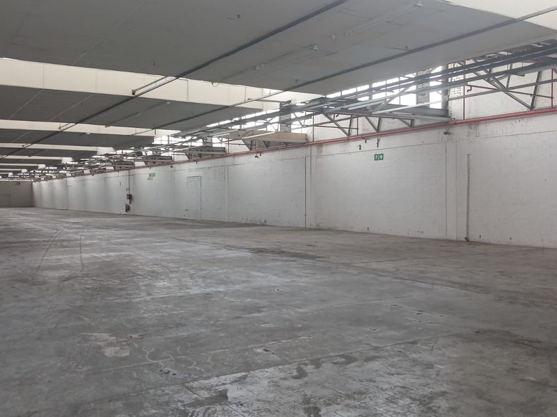 Expansive industrial warehouse space featuring high ceilings with integrated skylights, fire sprinkler systems, and durable concrete flooring.