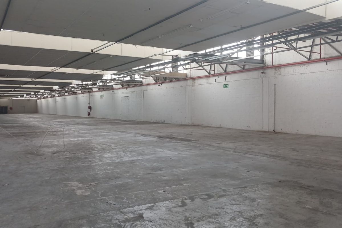 Expansive industrial warehouse space featuring high ceilings with integrated skylights, fire sprinkler systems, and durable concrete flooring.