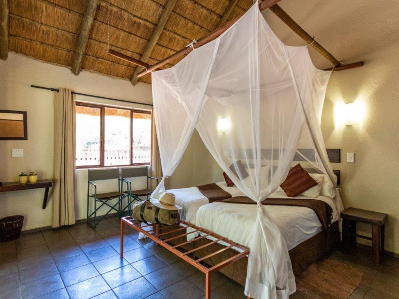 Your gateway to Africa's untamed beauty and endless possibilities. - Photo 8