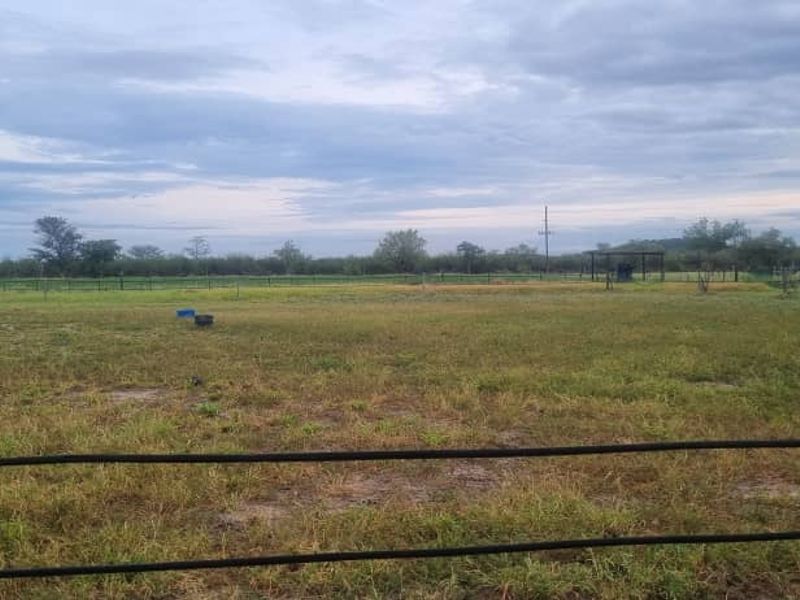 Irrigation Small Holding For Sale in Tsumeb Area - Photo 9