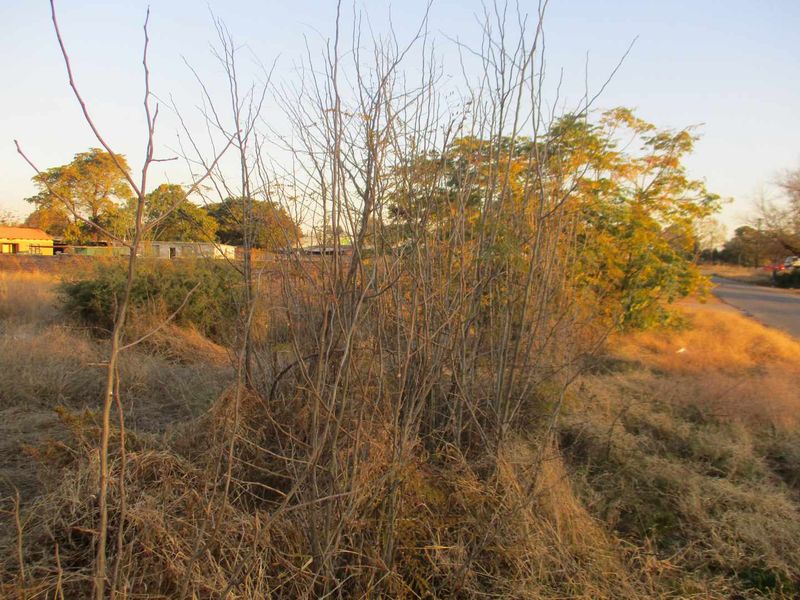 VACANT LAND IN DALESIDE - Photo 4