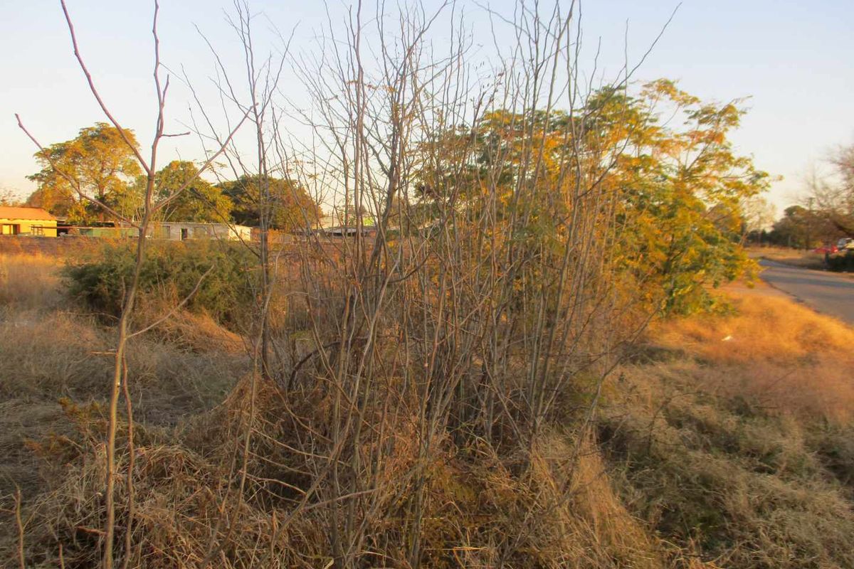 VACANT LAND IN DALESIDE - Photo 4