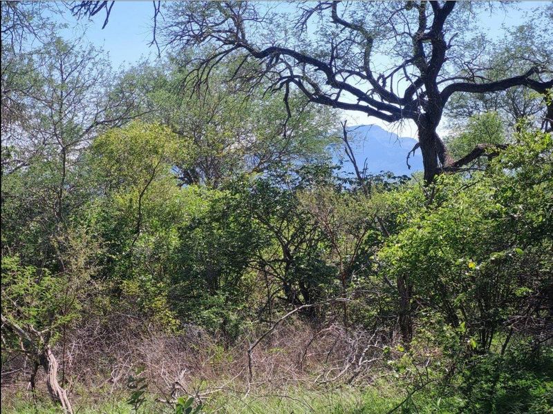 Prime Location in Big 4 Game Reserve!! - Photo 4