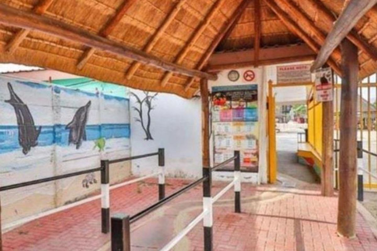 Escape to Paradise commercial resort for sale. - Photo 2