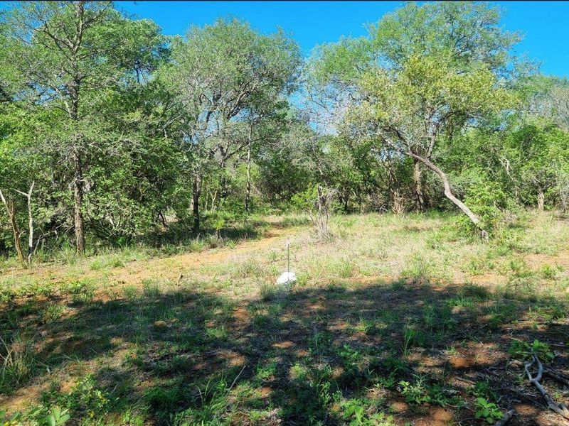 Prime Location in Big 4 Game Reserve!! - Photo 8