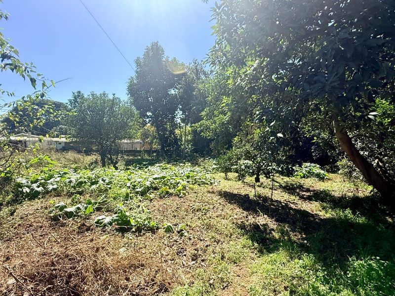 House for sale zoned Commercial in Paulpietersburg - Photo 10