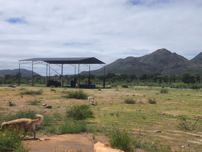 SMALLHOLDING FOR SALE NEAR WINDHOEK - Photo 9