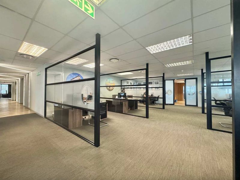 Modern open-plan office space featuring contemporary black-framed glass partitions, suspended ceiling tiles, and professional carpet flooring.