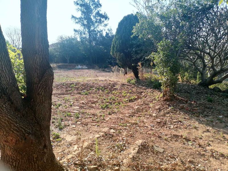 A view of a vacant residential plot featuring mature trees and cleared ground, offering potential for future development or landscaping.