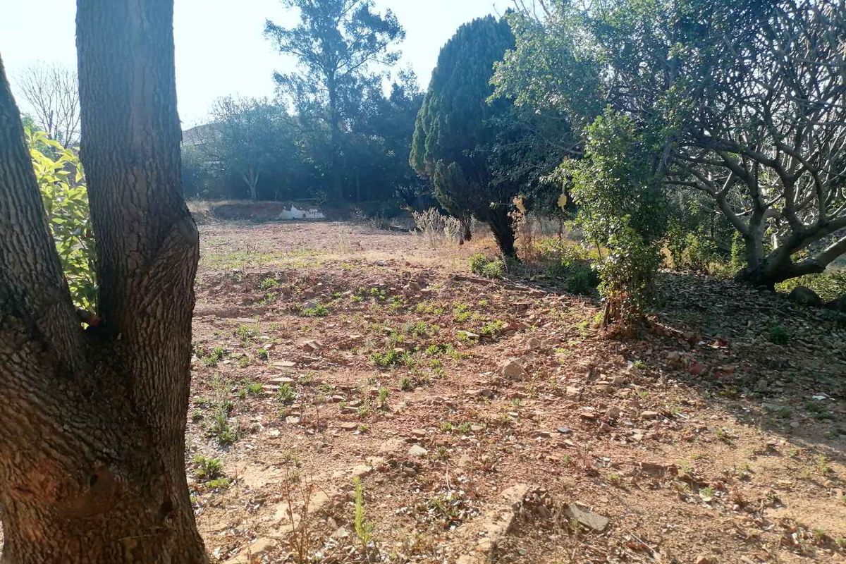 A view of a vacant residential plot featuring mature trees and cleared ground, offering potential for future development or landscaping.
