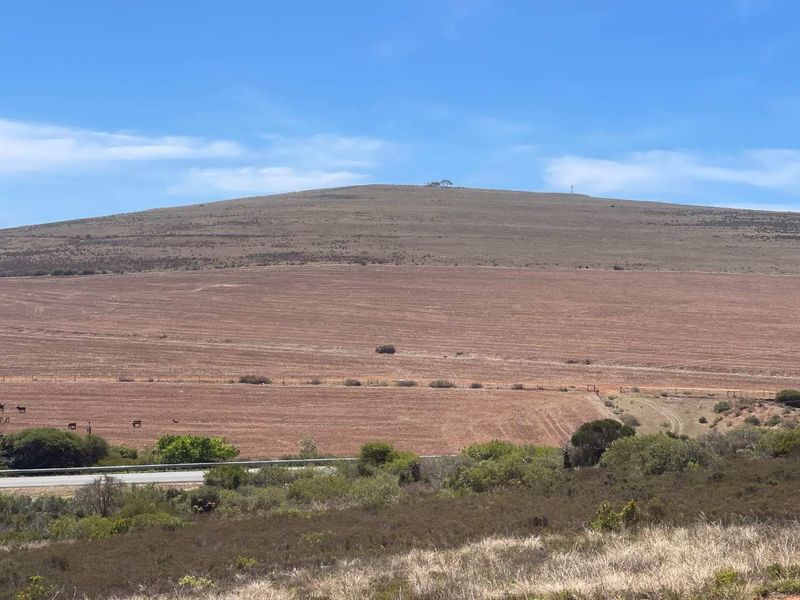 788m2 Vacant Stand For Sale in Hartland Lifestyle Estate - Exclusive Opportunity - Photo 6