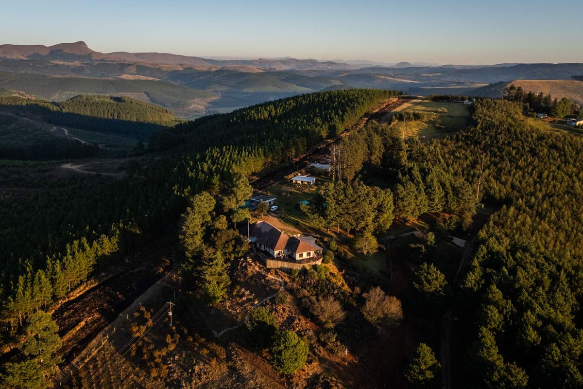 69ha Lifestyle Farm with Two Income-Producing Guest Cottages and 360° Views. - Photo 3