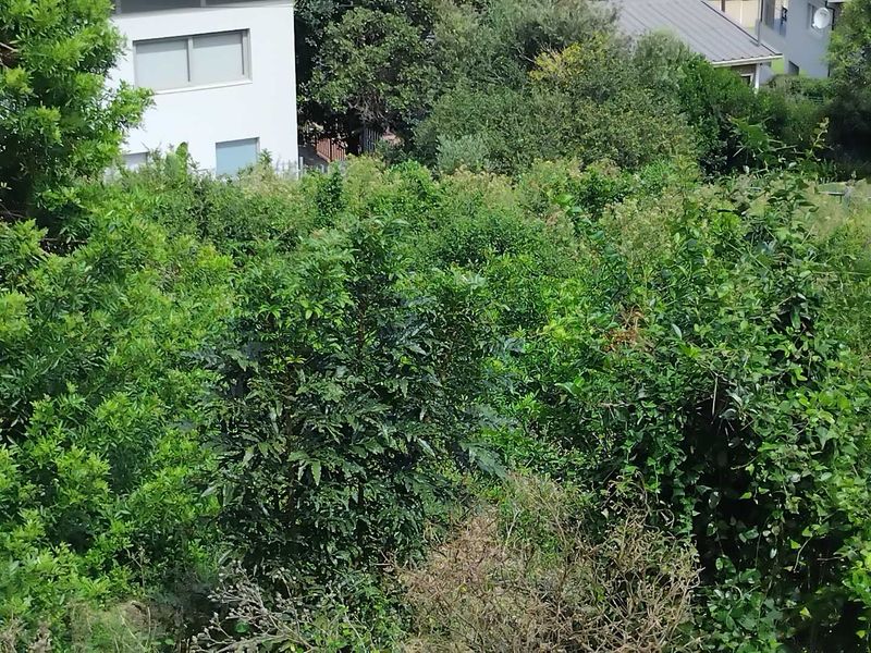 Prime Coastal Land Offering: A Gateway to Your Dream Home - Photo 6