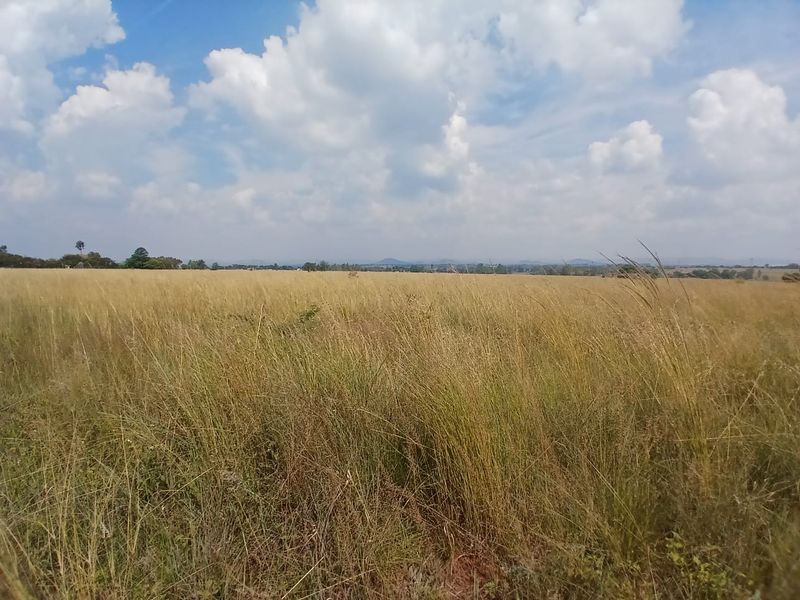 Experience Nature: Affordable Farm in Onderstepoort! - Photo 3