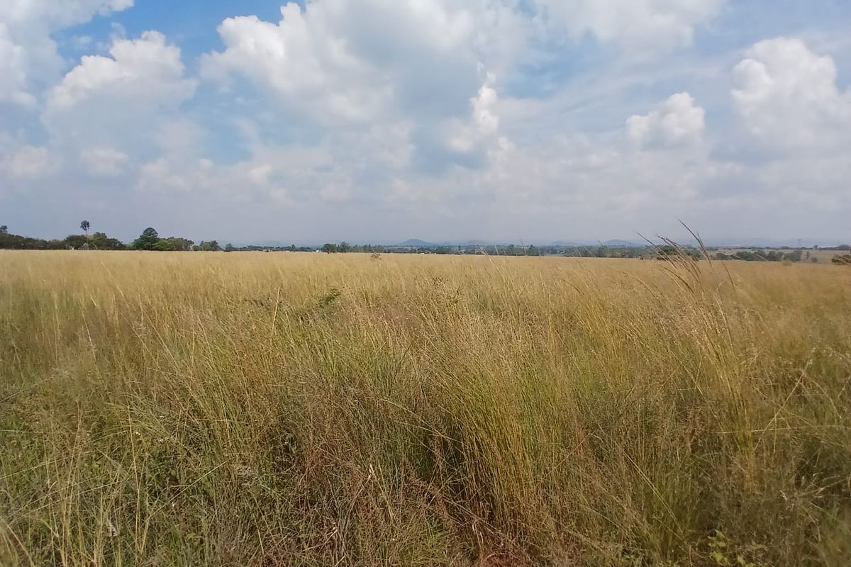 Experience Nature: Affordable Farm in Onderstepoort! - Photo 3