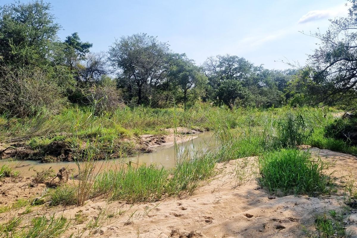 1.9-hectare riverfront stand for sale in Moditlo Wildlife Estate - Photo 2