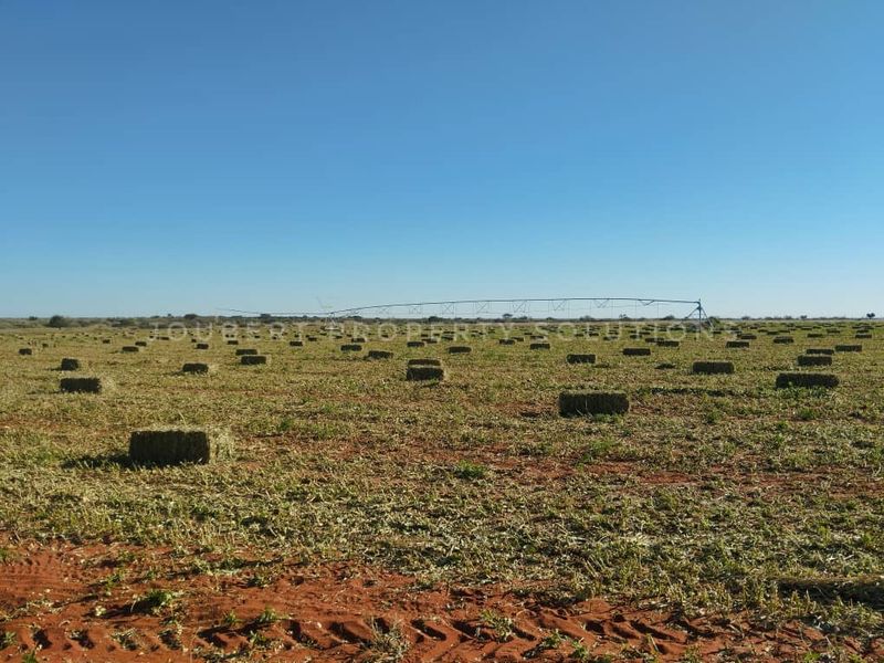 EXCEPTIONAL LIFESTYLE GAME FARM FOR SALE IN THE SOUTH OF NAMIBIA - Photo 5