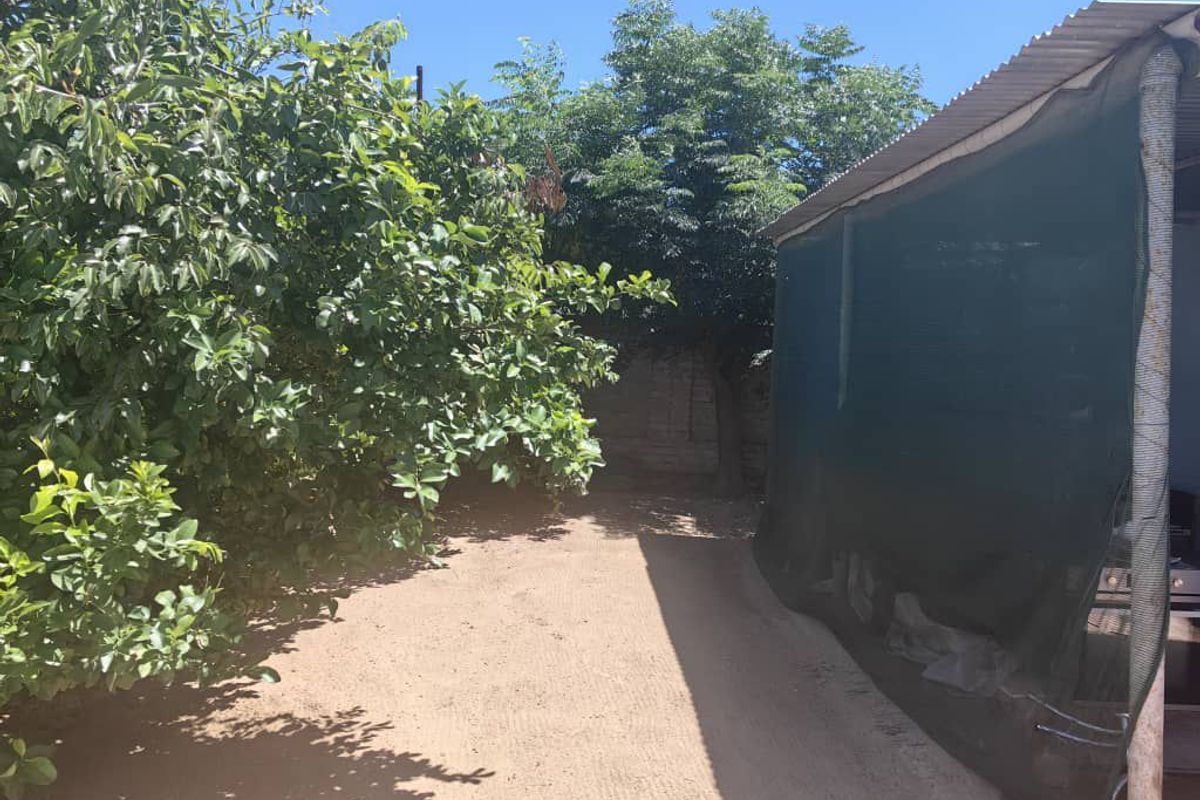 A backyard area featuring a dirt ground surface, mature trees, and a basic structure enclosed with shade cloth and a corrugated metal roof.