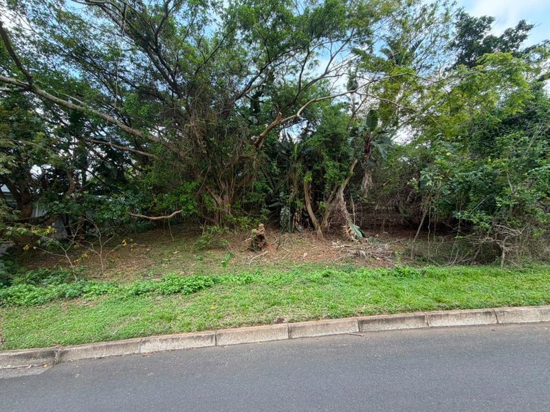 A view of a vacant residential plot featuring mature trees and vegetation, bordering an asphalt road with a concrete kerb.
