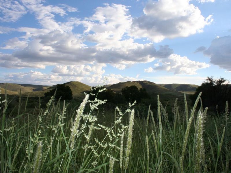 FARM not far from HELMERINGHAUSEN - Photo 6