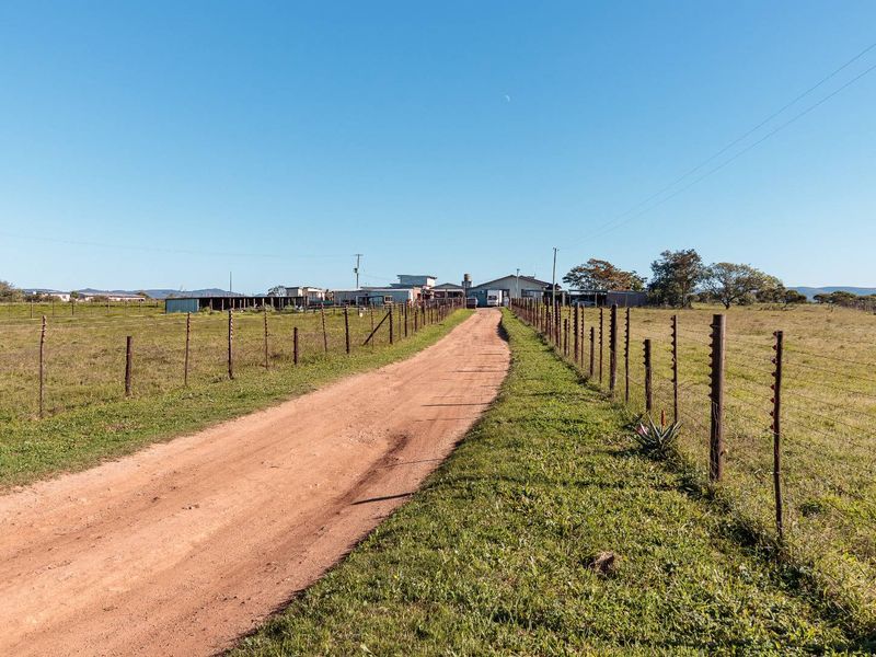 Open Realty Presents, Hillcrest Farm Abattoir – Uitenhage Area - Photo 6