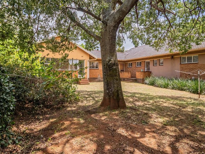 A spacious rear garden featuring a large mature tree, established landscaping, and a brick-faced house with a tiled roof and security-barred windows.