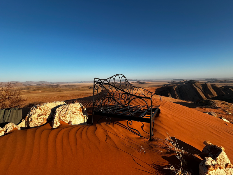 Untouched Desert Beauty - Photo 4